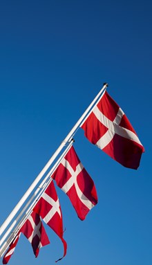 Danske flag