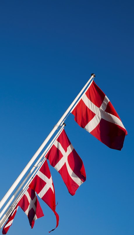 Danske flag